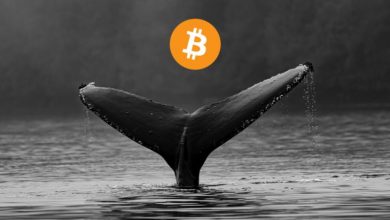 Düşüşten Sonra Lider Borsadan 20.952 BTC Taşındı 9