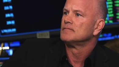 Novogratz Uyardı: Önümüzdeki Hafta Riskli Olabilir 1