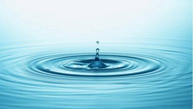 Ripple, 160 Milyon XRP'nin Taşınmasına Yardımcı Oldu 5