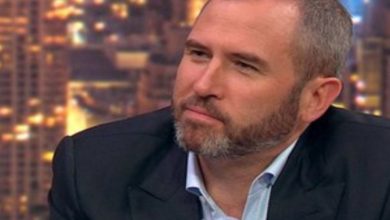 Ripple CEO'su Bitcoin'in Yasaklanmasını Savunmadığını İddia Etti 6