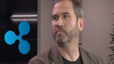 Ripple CEO'su XRP'leri Yakma Fikrine Açık Olduğunu Söyledi 1