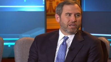 Ripple CEO'sundan Kritik Açıklamalar 3