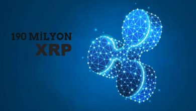 Yaklaşık 190 Milyon XRP Taşındı 8