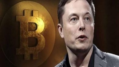 Elon Musk, Tesla'nın Bitcoin'lerini Satabilir 6