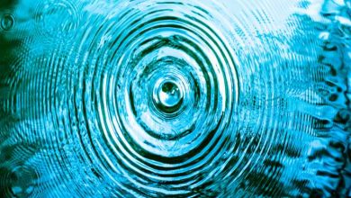 Ripple, Coinbase ve Diğer Borsalar 64 Milyon XRP Taşıdı 6