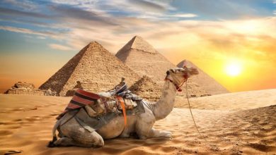 Ripple, Mısır Ulusal Bankası ile Ortaklığını Duyurdu 7