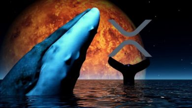 XRP Balinalarının Sayısı Birinci Çeyrekte Yükseliyor 6