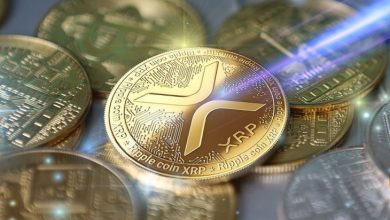 Ripple, McCaleb ve Borsalar Devasa XRP Transferlerine Devam Ediyor 9