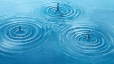 Ripple ve Büyük Borsalar 282 Milyon XRP Taşıdı 4