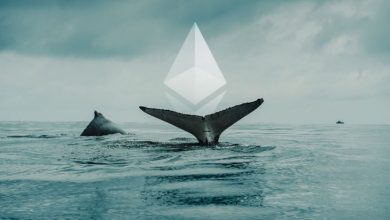 Balinalar Kripto Borsalarından Rekor Miktarda Ethereum Çekti 8