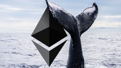 Ethereum Balinaları 800.000 ETH Taşıdılar 2