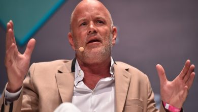 Mike Novogratz: Ethereum, Bitcoin'i Geride Bırakabilir 1