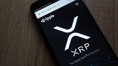 Ripple ve Üst Düzey Borsalar XRP Transferlerine Devam Ediyor 8