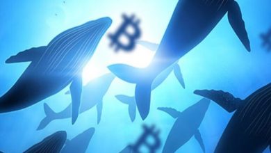 Yarım Milyona Yakın Bitcoin Taşındı 3