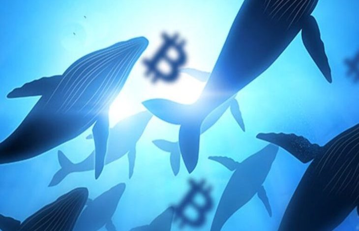 Yarım Milyona Yakın Bitcoin Taşındı 1