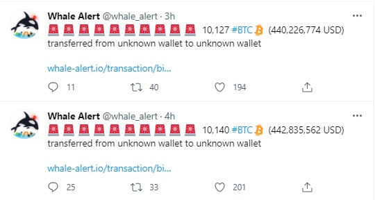 Bitcoin Balinaları Yüklü Miktarda BTC Transferi Gerçekleştirdiler 2