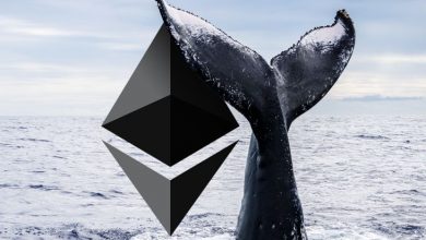 Balinalar Ethereum (ETH) Biriktirmeye Devam Ediyor 4