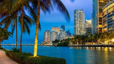 Miami Kendi Kripto Parasını Çıkaran İlk Şehir Oldu 2