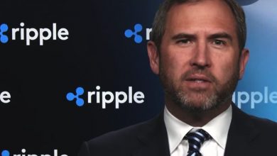Ripple CEO'su SEC ile Anlaşmaya Varabilmelerinin Tek Şartını Açıkladı 5