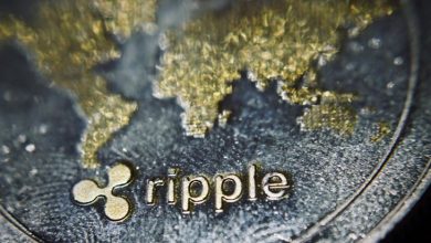 Ripple Devasa XRP İşlemleri Gerçekleştirdi 9
