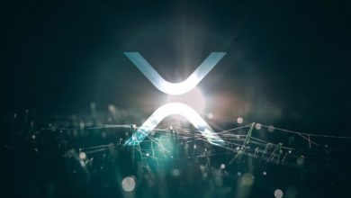 Ripple ve Borsalar 373 Milyon XRP Taşıdı 8