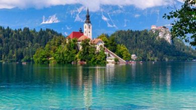 Slovenya Kendi NFT'sini Çıkaran Dünyanın İlk Ülkesi Oldu 1