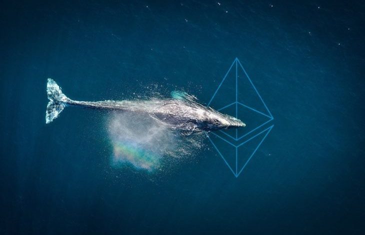 Balinalar ve Büyük Kripto Borsaları Devasa Miktarda Ethereum Hareket Ettirdi 1