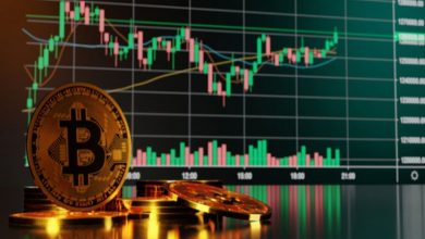 Bitcoin Fiyat Tahmini: BTC, 50.000 Doları Yeniden Test Etmeye Çalışıyor 9