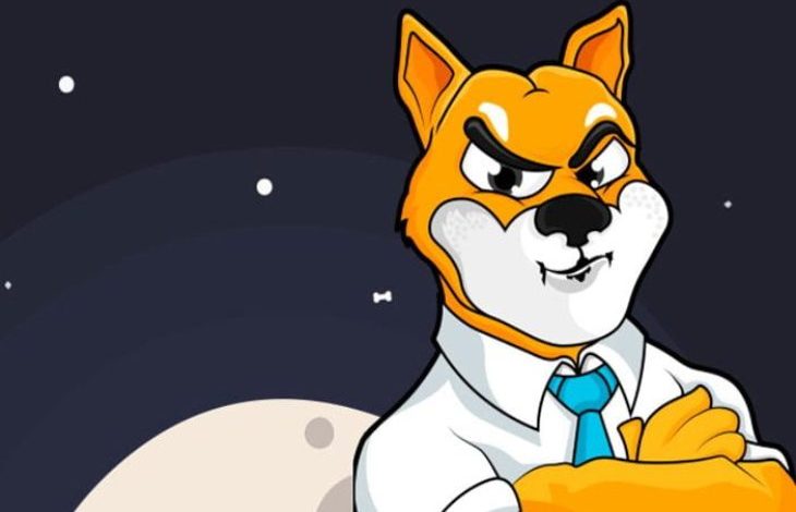 Dogecoin Katili Shiba Inu, Times Meydanı'nda! 1