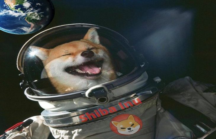 Dogecoin Rakibi Shiba Inu Hindistan'ın En Eski Kripto Para Borsasında Listelendi 1 Dogecoin Rakibi Shiba Inu Hindistan'ın En Eski Kripto Para Borsasında Listelendi 1
