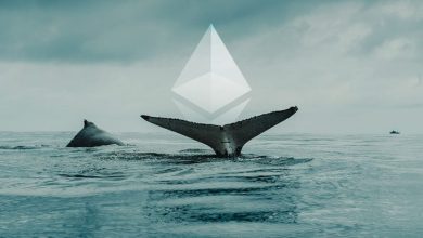 Ethereum Balinaları Daha Fazla ETH Biriktirmeye Devam Ediyor 3