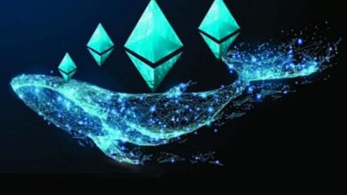 Ethereum (ETH) Yeni ATH'ye Ulaşırken Balinalar Devasa Transferler Gerçekleştirdi 1
