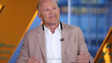 Novogratz, Ripple ile SEC'in Davasının XRP'yi Etkileyemediğini Söyledi 6