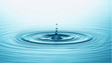 Ripple 44 Milyon Dolar Değerinde ESG Ortaklığı İmzaladı 8