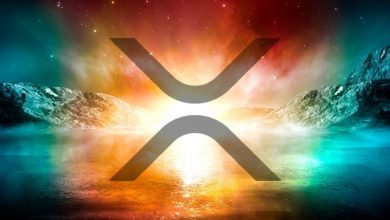 Ripple, Balinalar ve Üst Düzey Borsalar 100 Milyona Yakın XRP Transferi Gerçekleştirdi 1