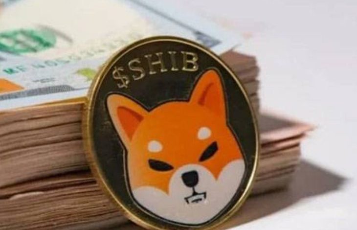 Shiba Inu (SHIB) Yeni Rekora Ulaşırken Artık Nissan ve LG'den Daha Değerli 1
