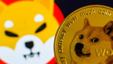10 Kasım 2021 Shiba Inu (SHIB) ve Dogecoin (DOGE) Fiyat Analizi 2