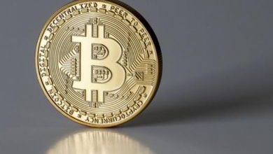 14 Kasım Bitcoin İçin En Önemli Günlerden Biri Olabilir 4