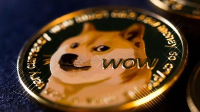 16 Kasım 2021 Dogecoin (DOGE) Fiyat Tahmini 1