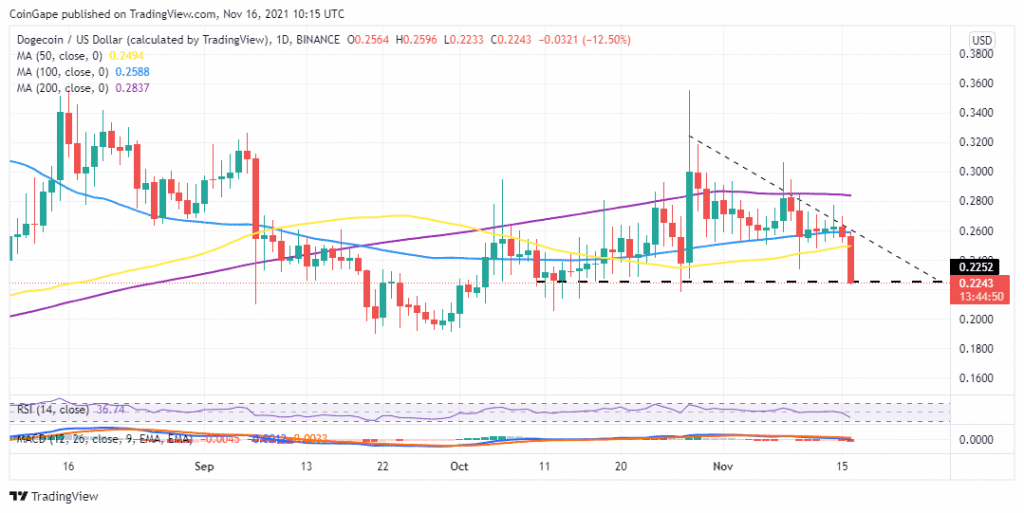 16 Kasım 2021 Dogecoin (DOGE) Fiyat Tahmini 3