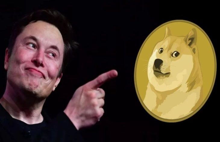 Elon Musk, Dogecoin Güncellemesinin Önemli Olduğunu Söyledi 1