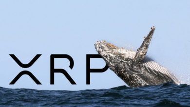 Ripple Balinası Binance Borsasına 40 Milyon XRP Taşıdı 2