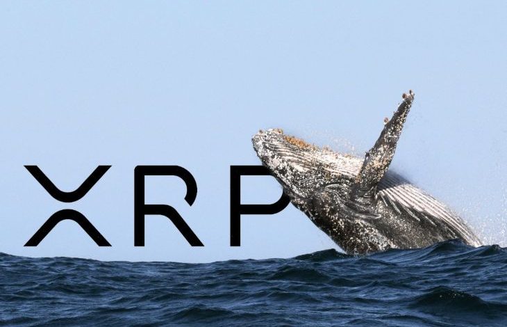 Ripple Balinası Binance Borsasına 40 Milyon XRP Taşıdı 1