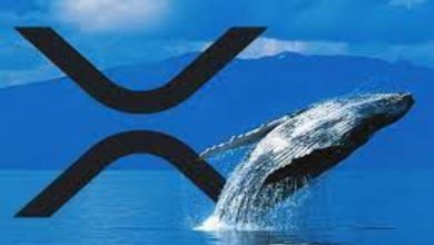Ripple Balinası Borsadan 14 Milyon Dolarlık XRP Taşıdı 6