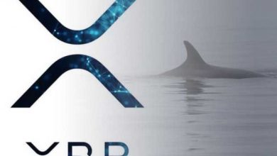 Ripple Balinası Çeşitli Borsalar Arasında 60 Milyon XRP Aktardı 3
