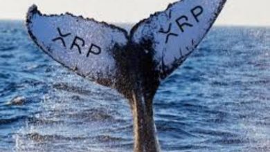 Ripple Balinası Cüzdandan Borsaya 100 Milyon Dolarlık XRP Aktardı 5