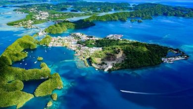 Ripple, Palau Cumhuriyeti ile Anlaşma İmzaladı 4
