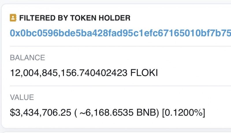 BNB Balinası 3.4 Milyon Dolarlık Floki Inu (FLOKI) Satın Aldı 2