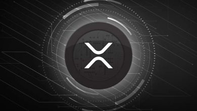 100 Milyon Dolarlık XRP Büyük Kripto Borsası Tarafından Taşındı 2