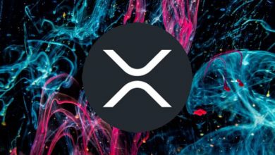 Büyük Borsalar 90 Milyon XRP Aktarırken Ripple Balinaları Birikime Devam Ediyor 2